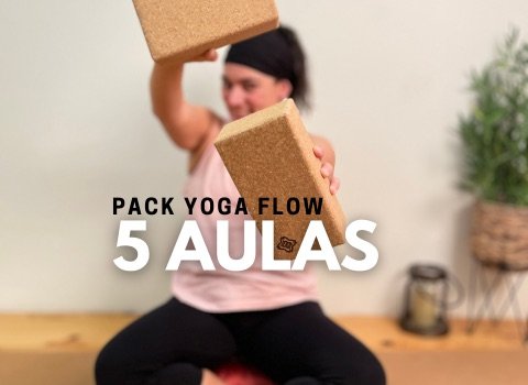 5 Aulas Yoga Flow